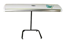 Home Featured Project