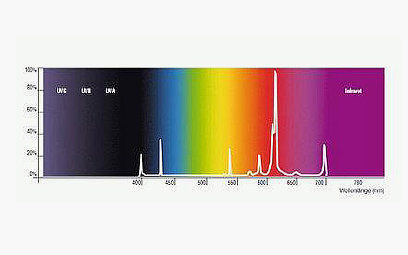 Home Featured Project