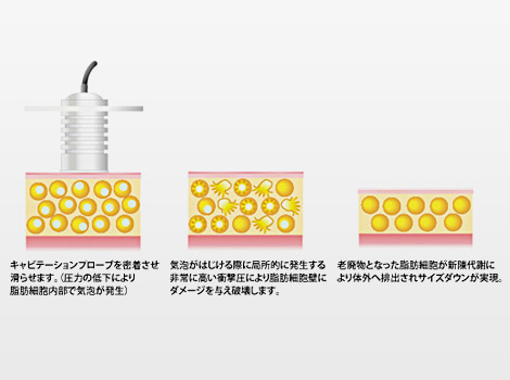 Home Featured Project